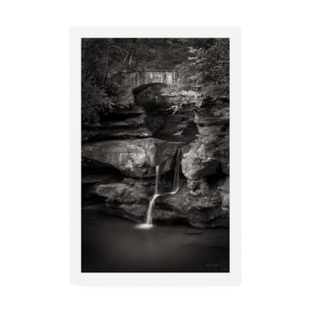 Alan Majchrowicz 'Upper Falls Old Mans Cave BW' Canvas Art,12x19